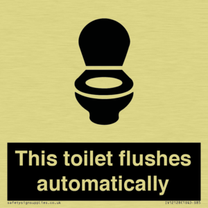 This toilet flushes automatically